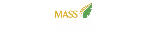 mass-landscape-masonry-corp